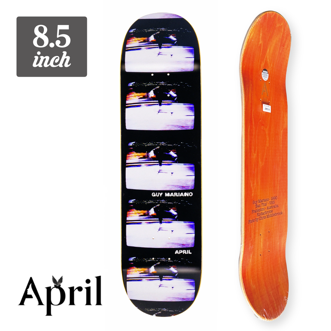 【8.5】April - 1990 "Guy Mariano"
