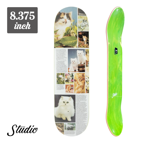 【8.375】Studio Skateboards - Cat Book Mystical Appeal