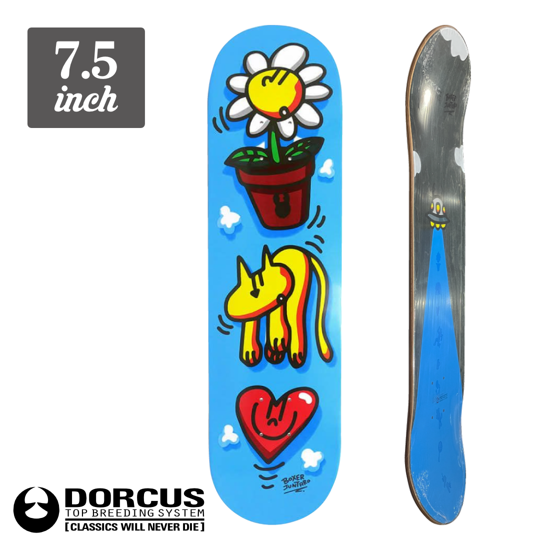 (子供用) 【7.5】DORCUS - Nvitation From Space